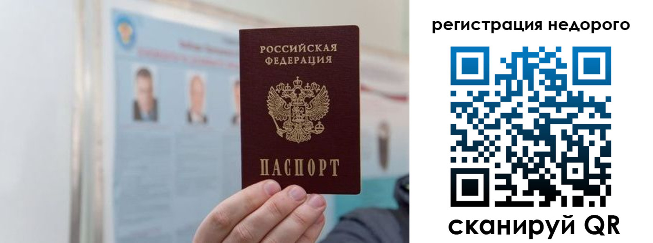 прописка гарантия в Владимирской области